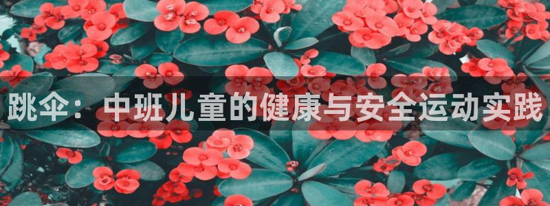 必一运动体育官网入口：跳伞：中班儿童的健康与安全运动实践