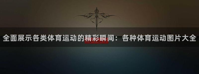 必一运动bsport体育：全面展示各类体育运动的精彩瞬间：各种体育运动图片大全