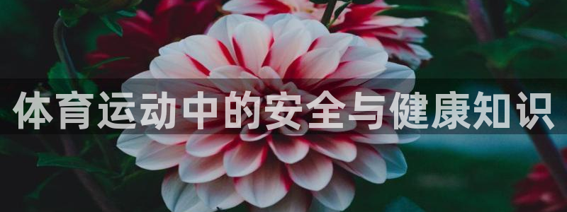 必一运动app：体育运动中的安全与健康知识