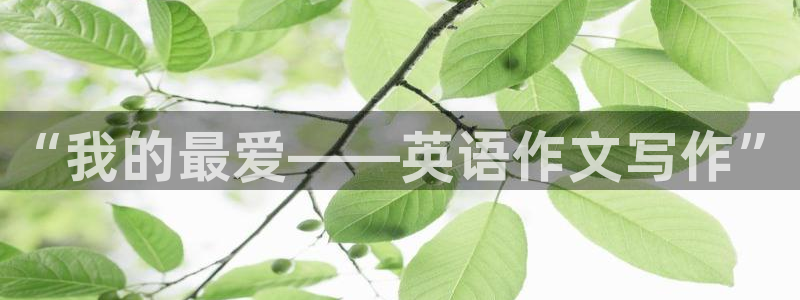bsports官网 必一运动：“我的最爱——英语作文写作”