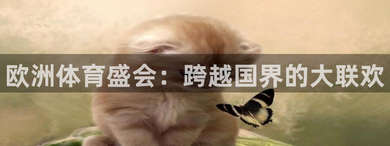 b体育必一运动官网：欧洲体育盛会：跨越国界的大联欢