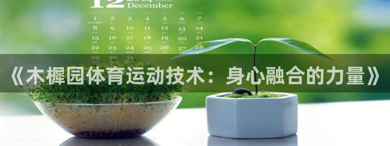 bsports官网 必一运动：《木樨园体育运动技术：身心融合的力量》