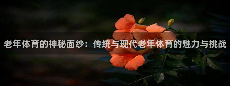 必一运动体育官网：老年体育的神秘面纱：传统与现代老年体育的魅力与挑战