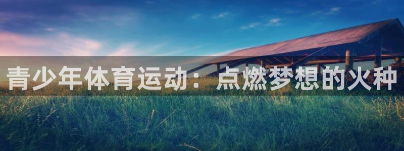 必一运动官网：青少年体育运动：点燃梦想的火种