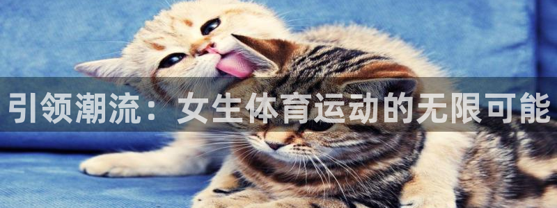 必一运动bsport体育：引领潮流：女生体育运动的无限可能