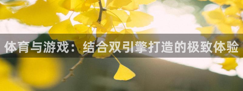 bsport必一运动：体育与游戏：结合双引擎打造的极致体验