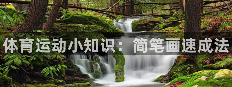 必一运动：体育运动小知识：简笔画速成法