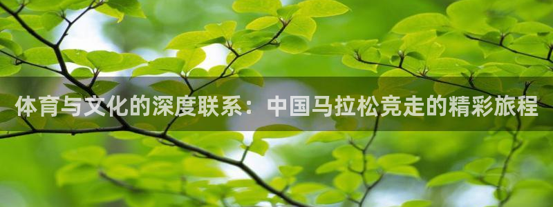 必一运动体育：体育与文化的深度联系：中国马拉松竞走的精彩旅程
