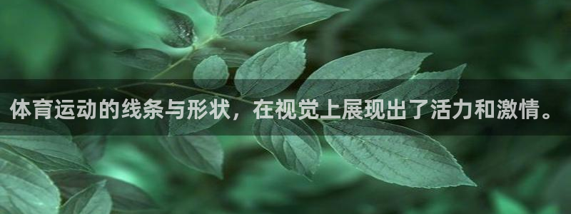 必一运动bsport体育：体育运动的线条与形状，在视觉上展现出了活力和激情。